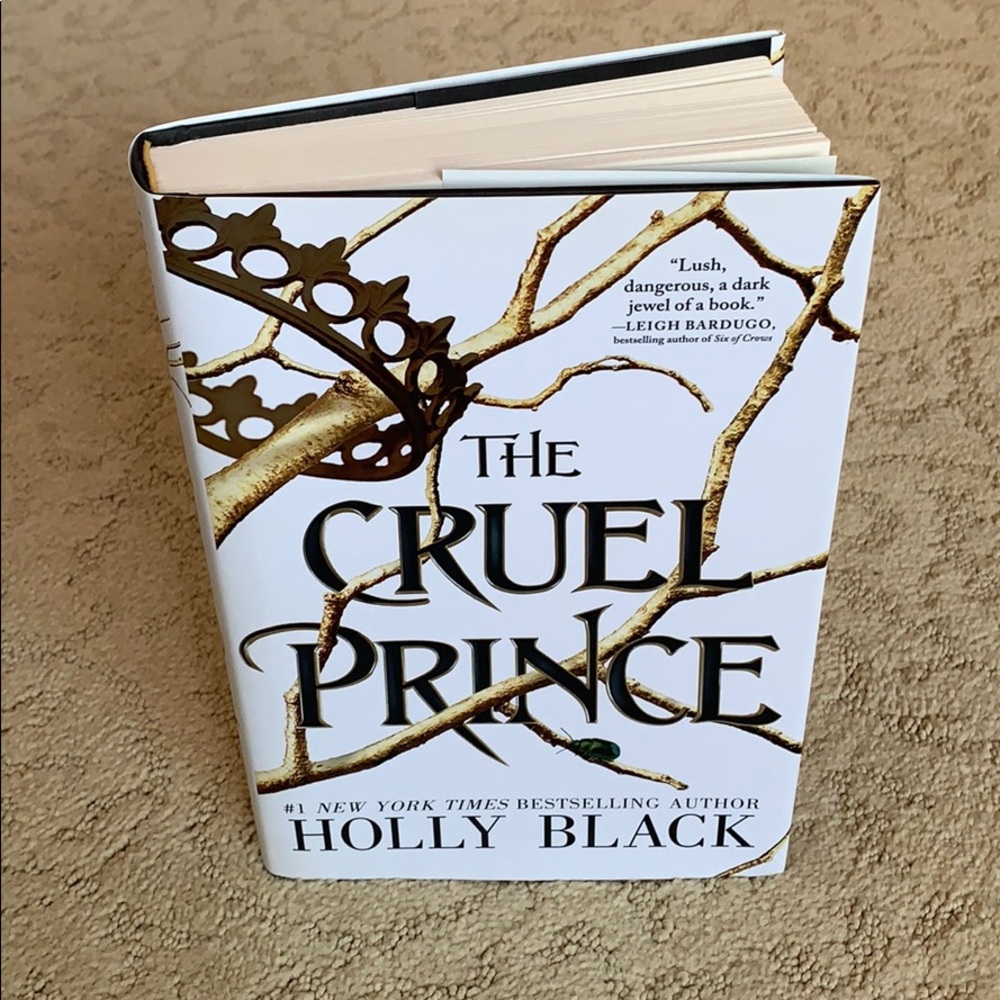 The Cruel prince book
